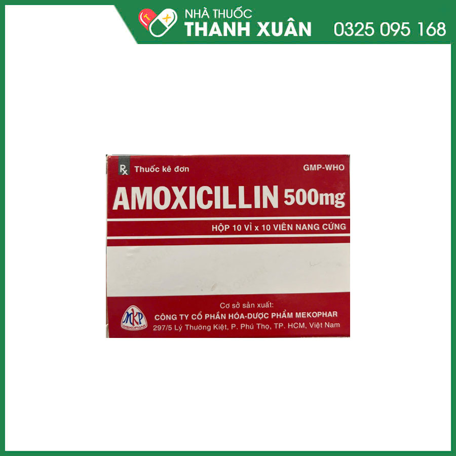 Amoxicillin 500mg Mekophar thuốc kháng sinh điều trị nhiễm khuẩn do vi khuẩn nhạy cảm