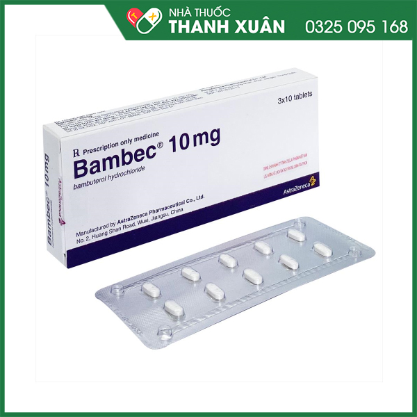 Bambec trị hen suyễn, viêm phế quản