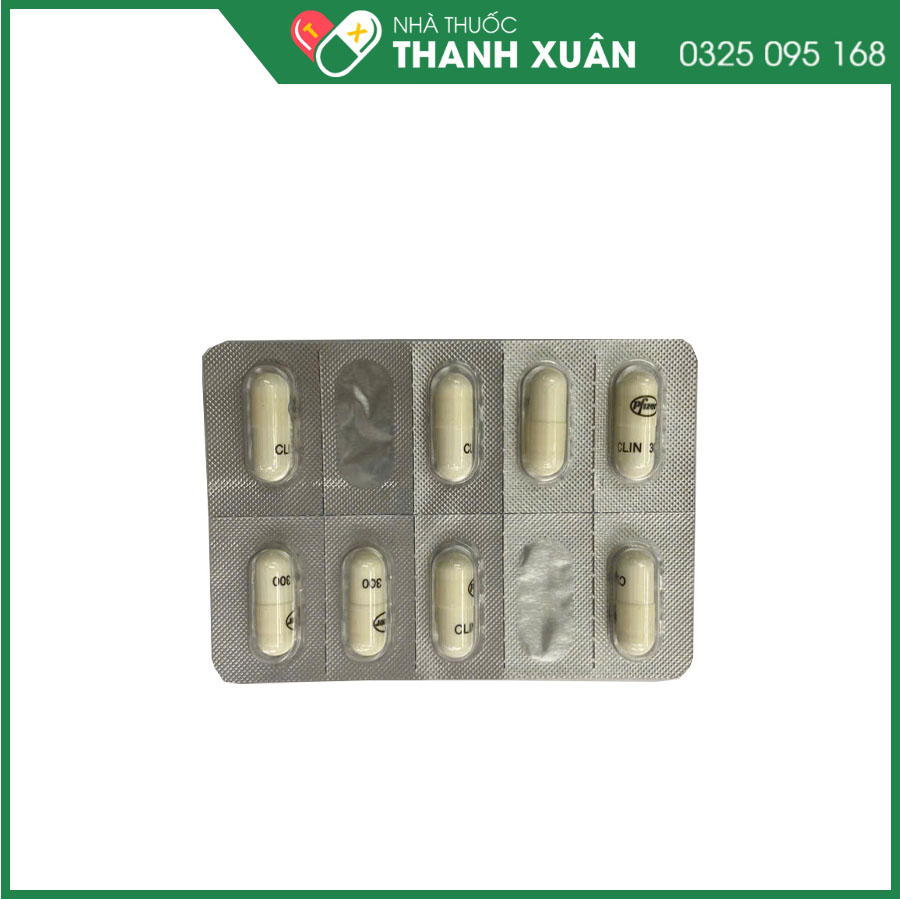 Dalacin C 300mg thuốc kháng sinh điều trị nhiễm khuẩn