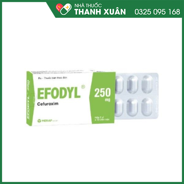 Thuốc Efodyl 250mg trị viêm tai giữa, viêm xoang