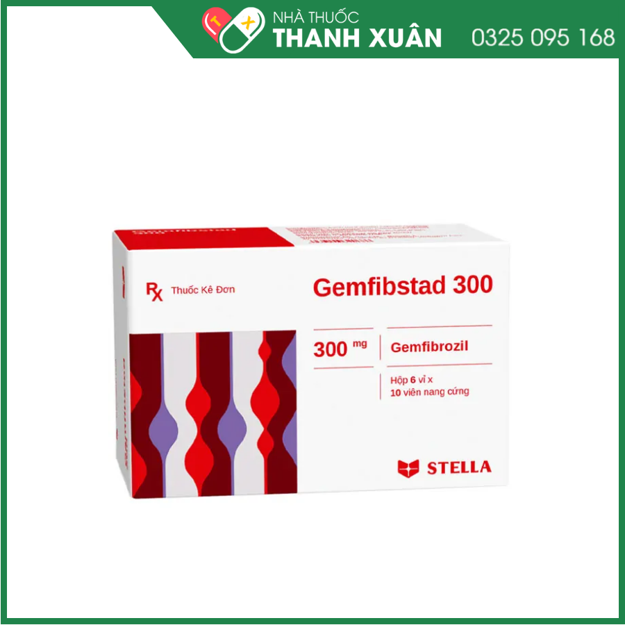 Gemfibstad 300 điều trị tăng lipid huyết