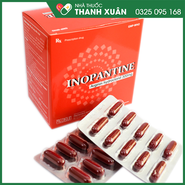 Inopantine hỗ trợ bệnh lý về gan