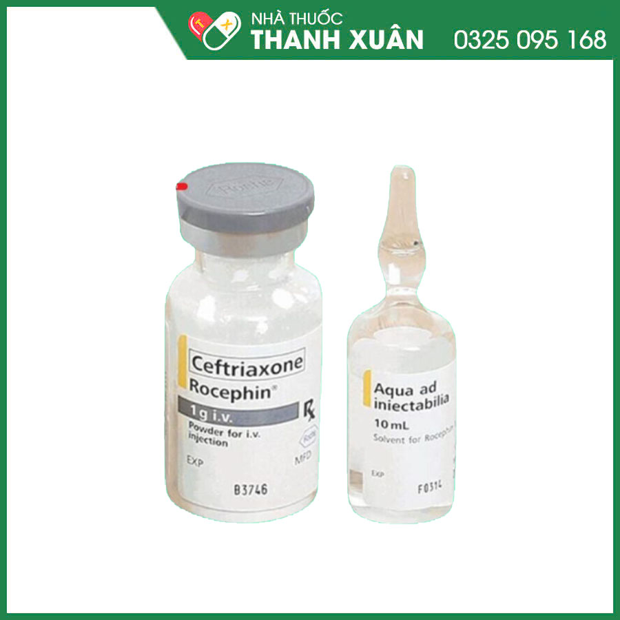 Rocephin 1g i.v thuốc điều trị nhiễm trùng do các mầm bệnh nhạy cảm và ...