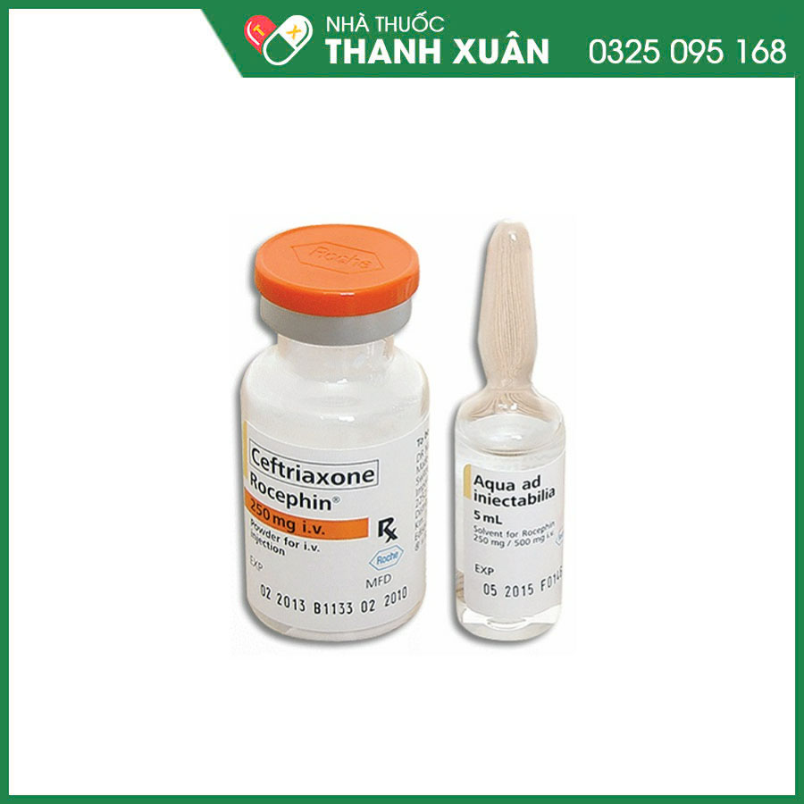 Rocephin 250mg i.v thuốc điều trị nhiễm trùng do các mầm bệnh nhạy cảm ...
