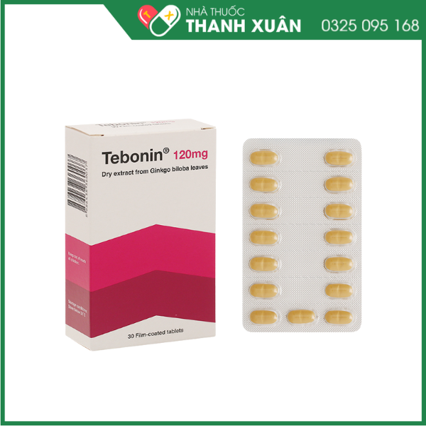 Tebonin 120mg Điều trị rối loạn tuần hoàn máu não và ngoại biên