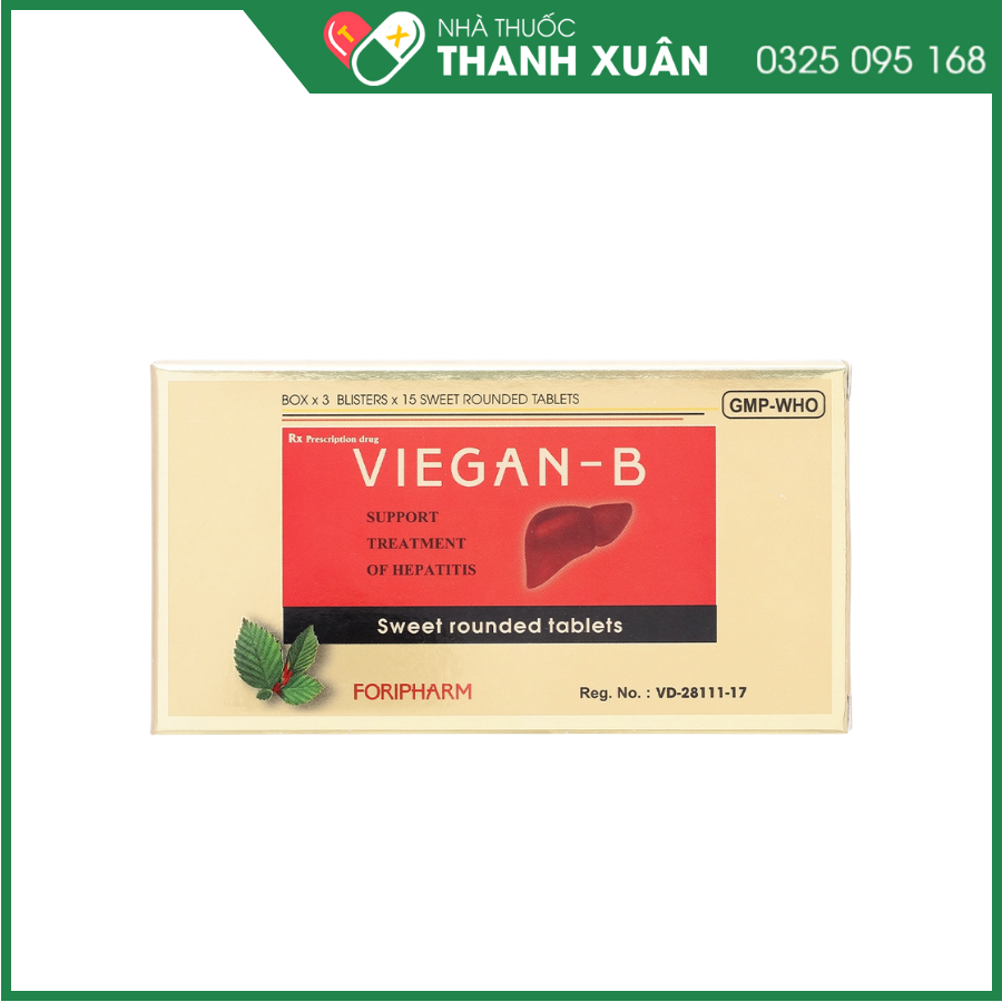 Viegan-B hỗ trợ điều trị viêm gan cấp và mạn tính
