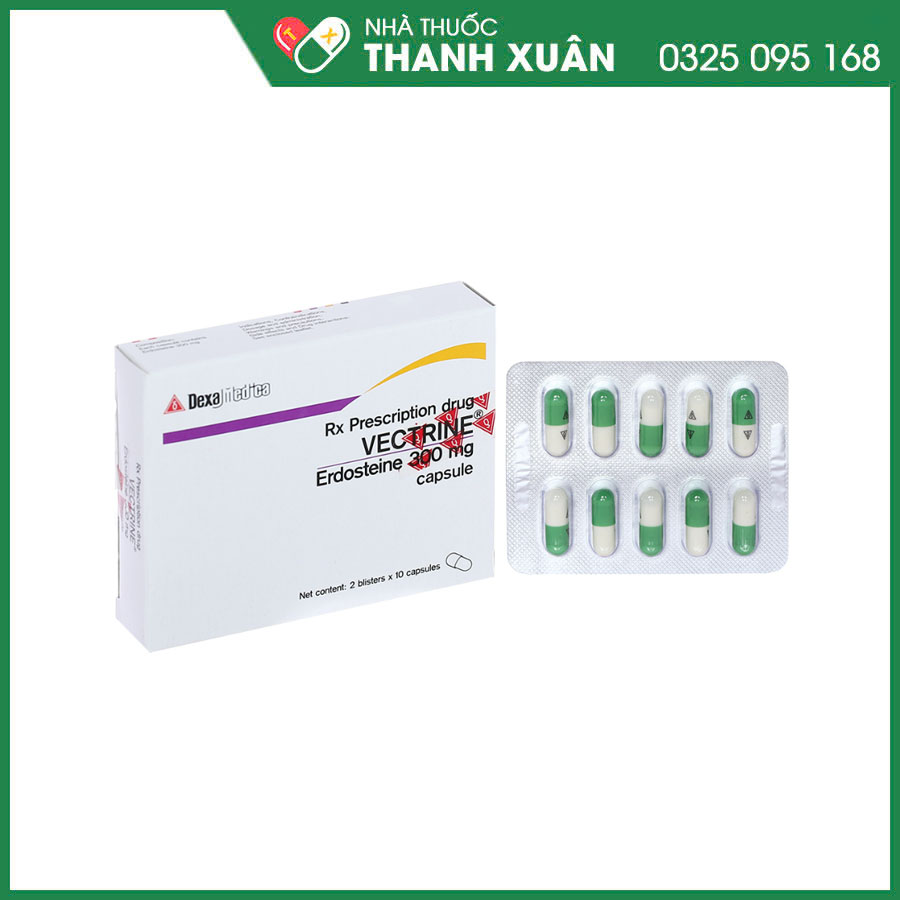 Vectrine 300mg thuốc hỗ trợ làm loãng, tiêu đàm trong các bệnh lý hô hấp
